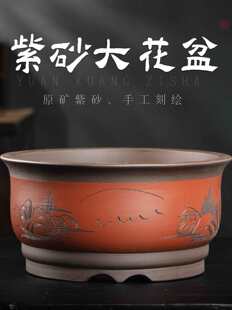 ��ɰ����÷���Ϙ��辰��A�δ�ڏ��_�h�ɷN�˻���Gֲ�մɴ���