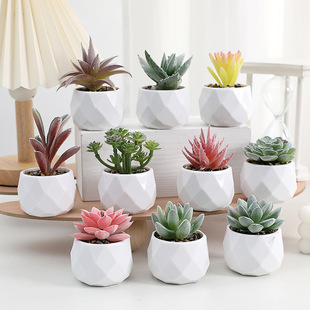 Simulation mini succulent plant interior decoration fake flower plant desktop decoration fake succulent potted cross-border hot sale