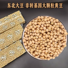 批发东北大豆 大颗粒非转基因黄豆打豆浆豆芽豆制品原料400克包邮