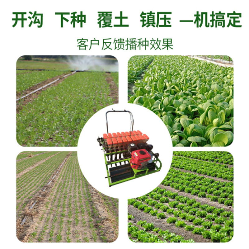 蔬菜播种机