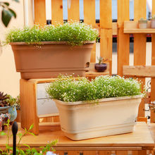 ̨Aλ̨Ll❲ˮNˮGֲбPG}