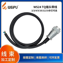 ����WS24���ղ�ͷ���ӹ�����������ע�ܽ�����������������