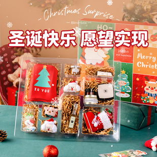 New Christmas Gift Blind Box for Girls, Birthday Gift for 10-Year-Old, Handmade DIY Blind Box Poke Toy