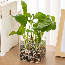 桌面透明花瓶多肉器皿水培植物专用盆塑料创意绿萝水养绿植方缸