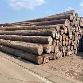 批发园林河道驳岸 土建工程适用松木桩  防汛木桩 打桩木