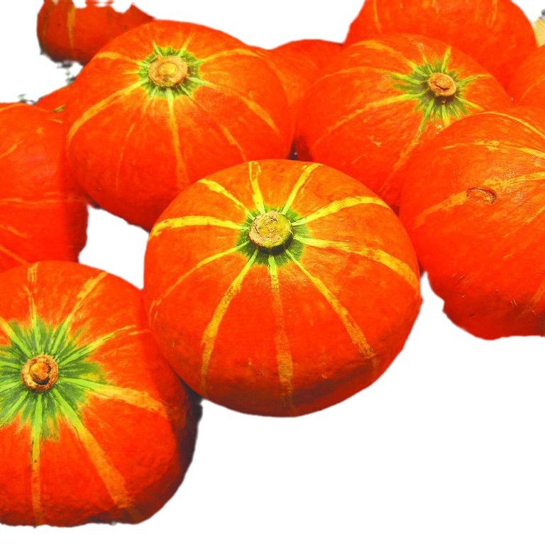 ��Ӧ��ˮ����Ϲ����Ϲ������Ϲ����ʴ��������ֽƤ�Ϲ���