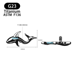 其他穿刺饰品;耳廓、耳扩;其他首饰