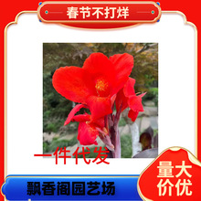 һ�����l9.9Ԫ5����ѿ���˽��N����������������ֲ������ͥԺ�׻�