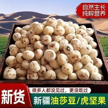 �½���ɯ��ÓƤȥƤɯ�����Թ��½��خa��ʳ�ּZ���º�����ɯ��