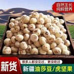 新疆油莎豆脱皮去皮莎豆虎坚果新疆特产零食粗粮地下核桃油莎豆