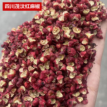 �������l���Ƹ�؛�������t�������˴�t�ۻ���500g����������l