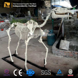 博物馆马化石摆件 仿真动物模型 手工骨架玻璃钢马匹拼装装饰