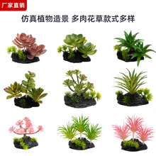 �������ֲ��՚�ݾGֲ�~���쾰�P��[�����������҃��b��S