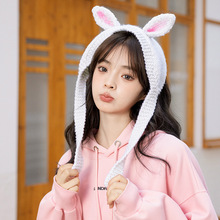 �n��ins�����ɐ�ᘿ�ë��ñ�ﶬ�ɐ��ö���ñ���^�ױ�ů�o��ñ��