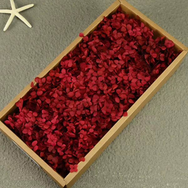 B grade Anna hydrangea deep red