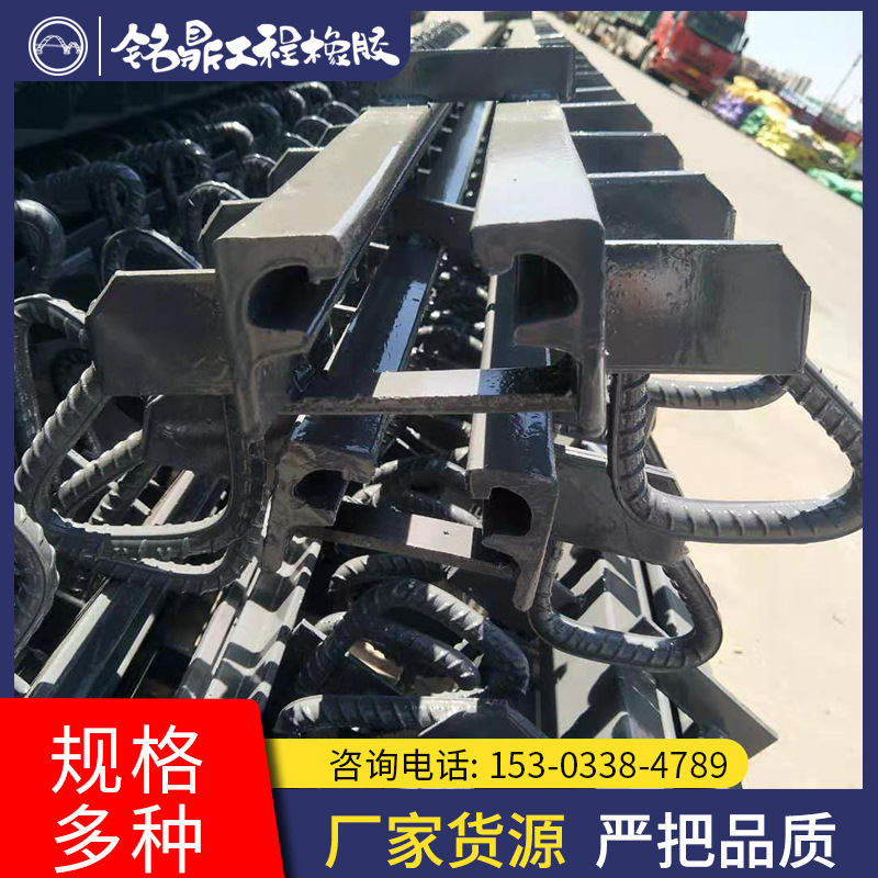 公路桥梁伸缩缝 橡胶板式梳齿型异型钢变形缝模数式 桥梁伸缩缝