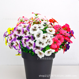 �羳���N���滨�����m�ȼ�����ɫ�����_�m���R�d���컨ˇ���Sֱ��