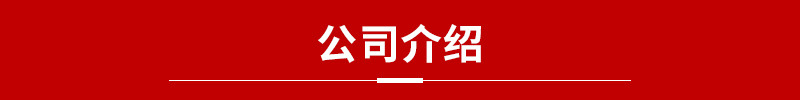 2公司介绍.jpg