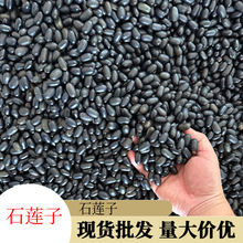 石莲子大货散装现货批发量大价优多种规格现货批发双肾子磨粉批