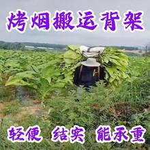 背架搬运烤烟背架农用轻便加厚钢管携承重镀锌双肩背负式架子工具