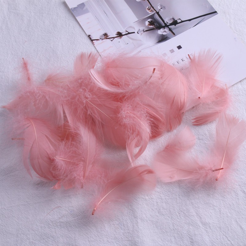 된장 가루 (100 뿌리 배치)