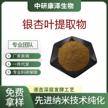 银杏叶提取物 银杏黄酮24%黄酮6%内酯杏叶黄酮 银杏叶提取粉