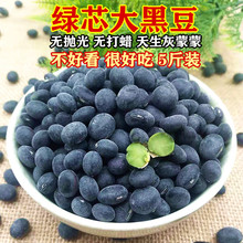 绿心黑豆大黑豆苏北农家自产青仁黑豆醋黑豆乌皮绿芯黑豆5斤
