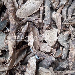 1����ɢ�b���l����Sβ����Ƭ���S�����񻨸�����Ʒ