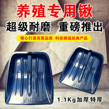 ĥBֳüӺ䓻䓻@Pѩ@ţ̖