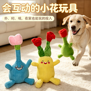 ������߹�ҧ�l�����ҧĥ������ë�q�����С��Ȯ���ӹ������