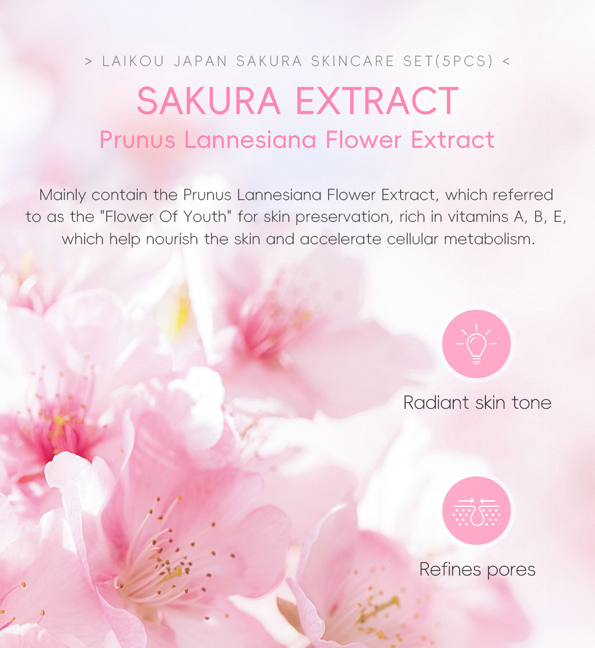 Cross-border LAIKOU Sakura Skincare Gift Box Moisturizing and Hydrating 5-piece Set with glass panel Part in stock undefined