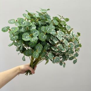 ���l���溣���~�ع��~���X�~С�~���ȼ����ز��b廨�쾰��ֲ��