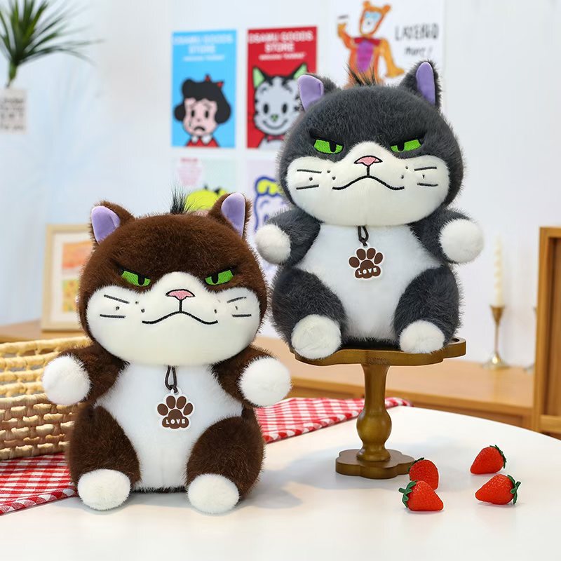可爱黛西猫公仔毛绒玩具创意少女心大脸猫玩偶布娃娃生日礼物批发|undefined