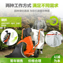 市政道路枯叶清扫机 小型公园树叶收集机 手推直走式烟头清理设备