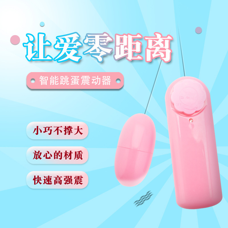 Laile 단일 점프 계란 (배터리 가방)