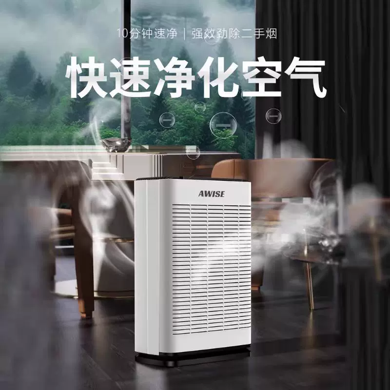 跨境新品负离子空气净化器、除烟除尘、甲醛、苯酚、吸附浮毛异味