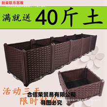 �����߲˷N�����̨�L�����ش�����Nֲ��N�����ͥ���ϻ��軨��