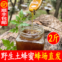 木桶土蜂蜜天然农家自产秦岭深山成熟野生蜂蜜礼盒
