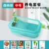 Medium size crystal tank [green-free feeding package]