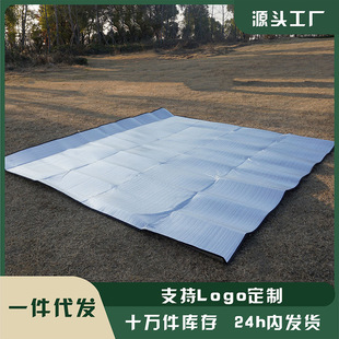 雙面鋁模防潮墊戶外加厚野營露營帳篷防水隔熱沙灘野餐墊防潮墊