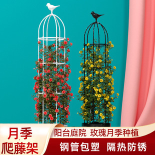 Rose Flower Stand Climbing Frame Rose Balcony Climbing Frame Flower Pot Plant Vine Frame Garden Flower Column Gardening Flower Stand