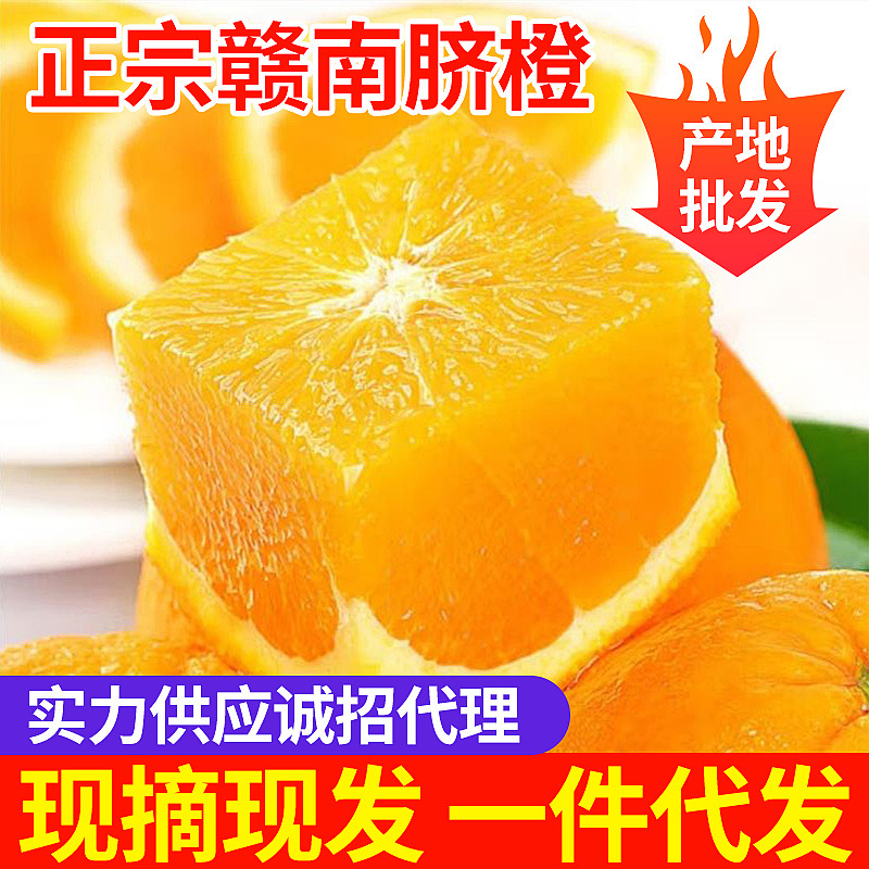 Authentic Ganzhou Navel Oranges, Fresh Seasonal Thin-Skinned Oranges, Direct Supply from the Orchard, Wholesale by the Box for Supermarkets