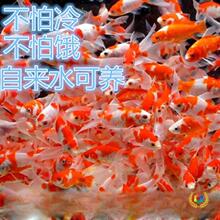 С���~���l���~�^�p�~С���l�\���\�a��ɫ�t�����^���T�ʹ��l