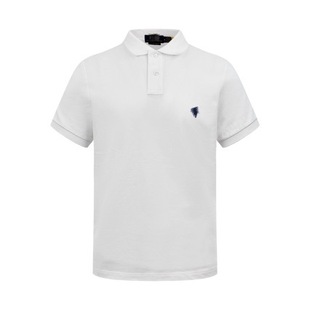 �羳�¿��ļ����Q���_polo����ʿ����T�����IС�R�˴̽����e�ٴ�