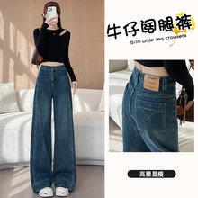 �OӋ�����ţ��ѝŮ2025���������@�݌����ڿ�͹�ֱͲѝŮ