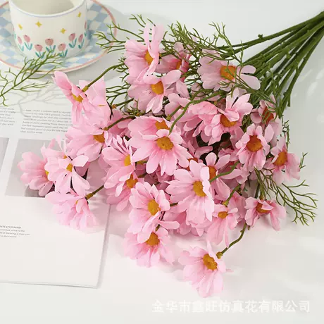 Pink daisy
