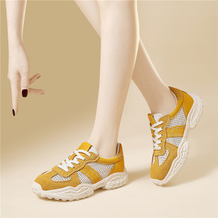 Golden silk rabbit net popular thin women's shoes 2025 spring and summer new mesh breathable flat casual shoes sports shoes