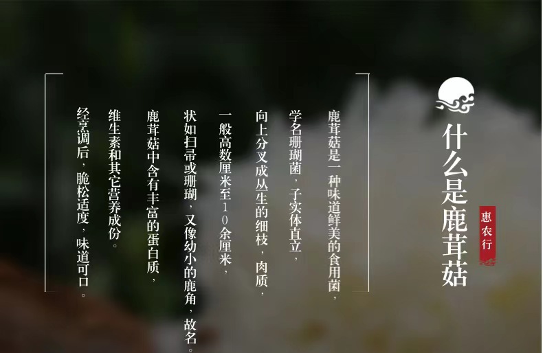Dried Lyophyllum decastes Mushrooms Lu Rong Gu 60g Culinary Soup and Stir Fry Fungi quality and texture