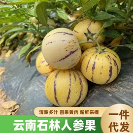 块茎类;其他蔬菜;苹果