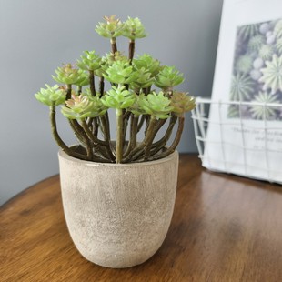 ���汱�Wʯɏ�������辰 �Ҿӕ������ȏd�ư��b[�����{��ֲ��